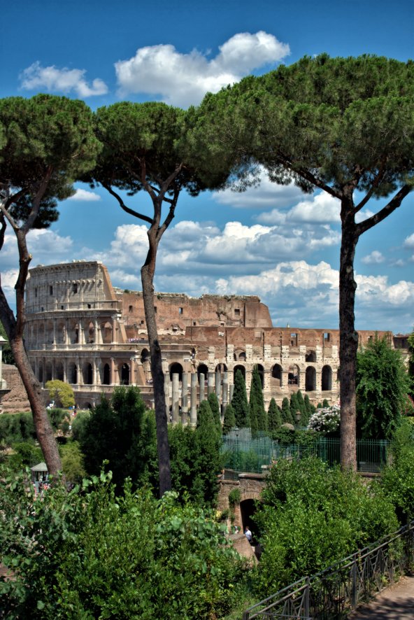 215 Colosseum from Palatine