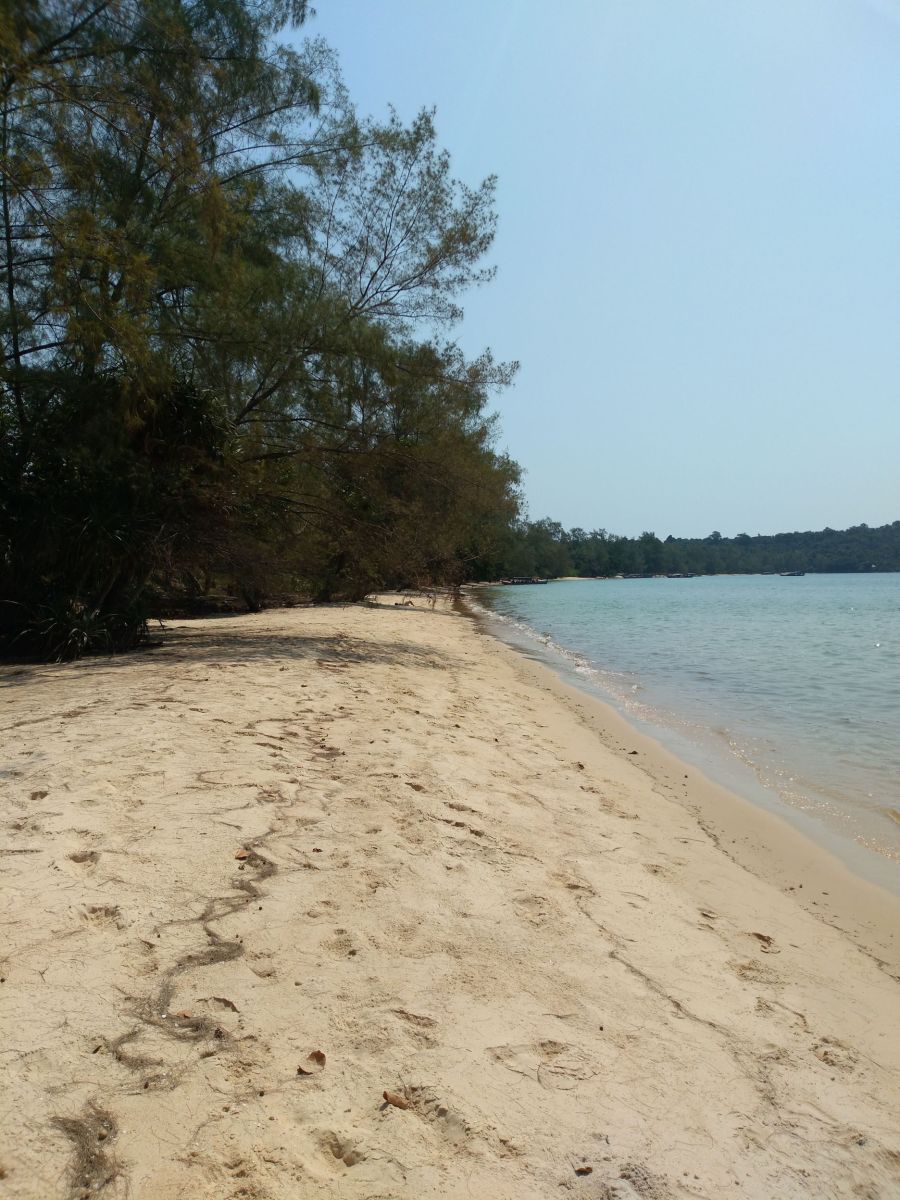 IMG_20190208_113912c